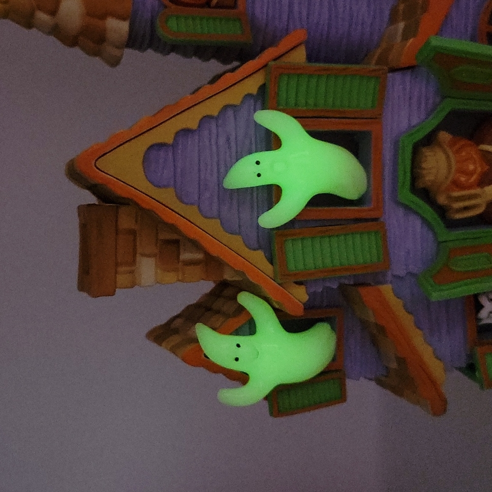 Light Up Halloween House